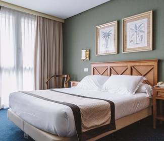 Chambre individuelle corporate Hôtel ILUNION San Sebastián Saint-Sébastien Chambre individuelle corporate Hôtel ILUNION San Sebastián Saint-Sébastien