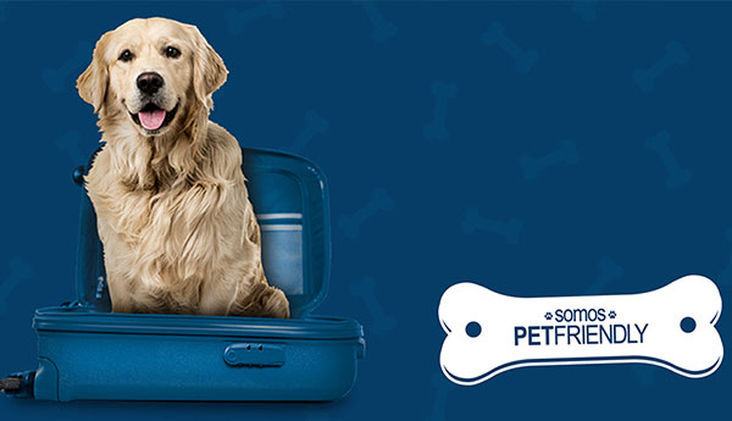 VOUS SOUHAITEZ VOYAGER EN COMPAGNIE DE VOTRE ANIMAL ? ILUNION Hotels