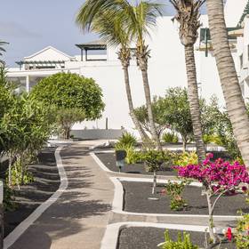 Jardin Hotel ILUNION Costa Sal Lanzarote Puerto del Carmen